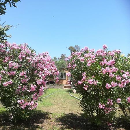 Tortolì Villa Olia المظهر الخارجي الصورة