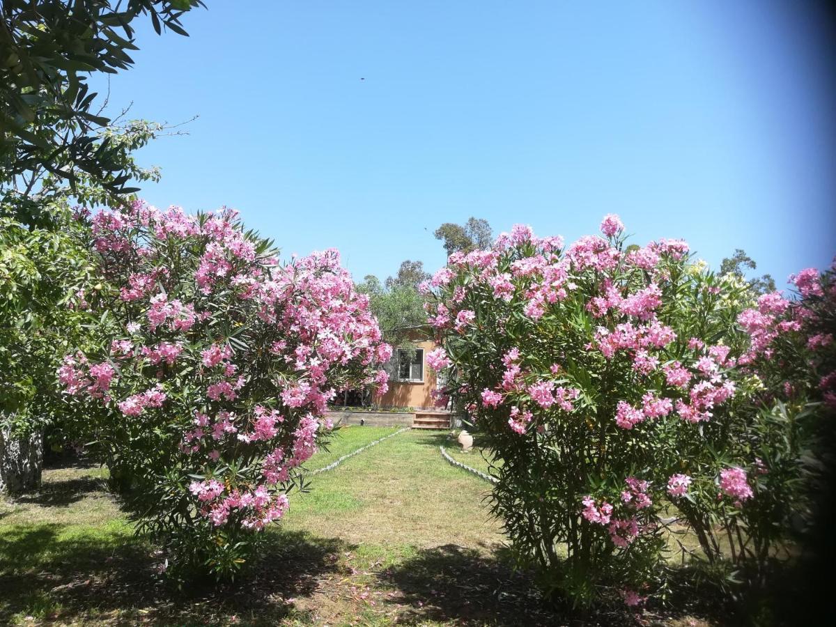 Tortolì Villa Olia المظهر الخارجي الصورة