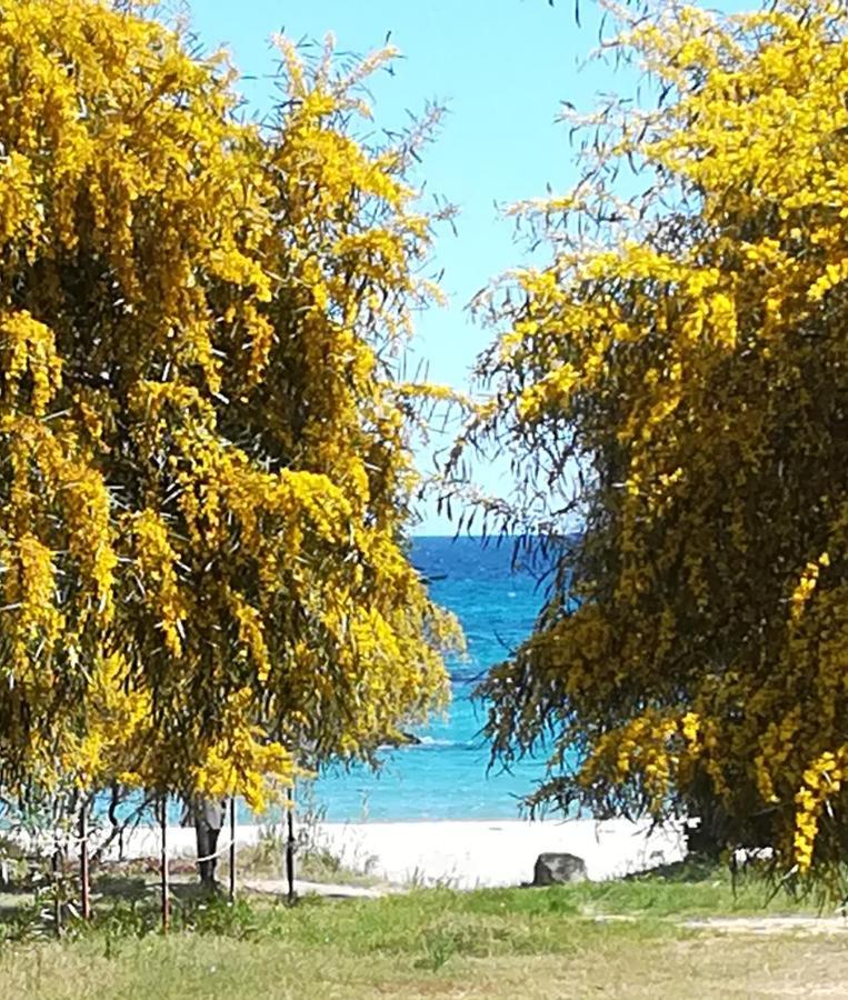 Tortolì Villa Olia المظهر الخارجي الصورة